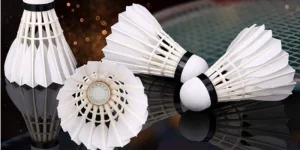Cách Khai Thác Lợi Thế Sân Nhà Trong Cầu Lông
