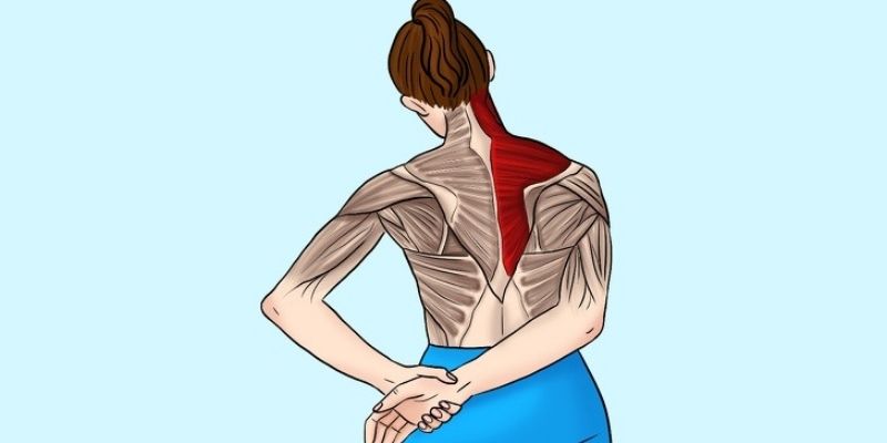 Bài tập hồi phục cho vân động viên cầu lông